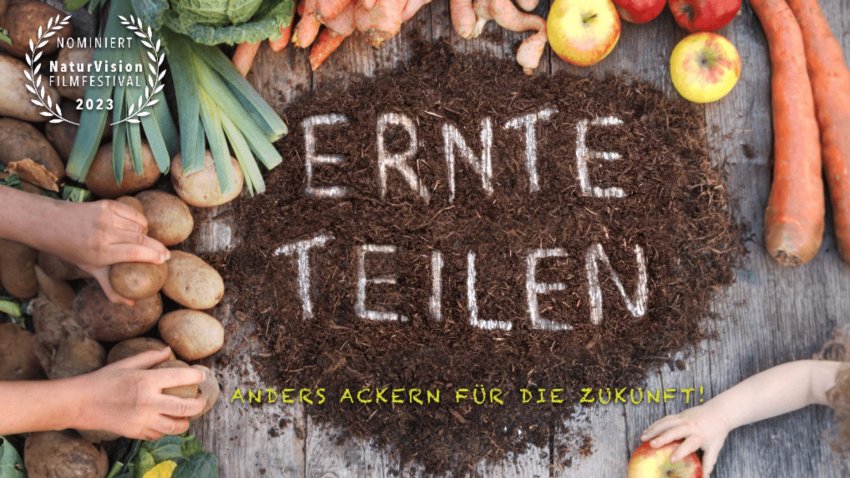 Ernte Teilen